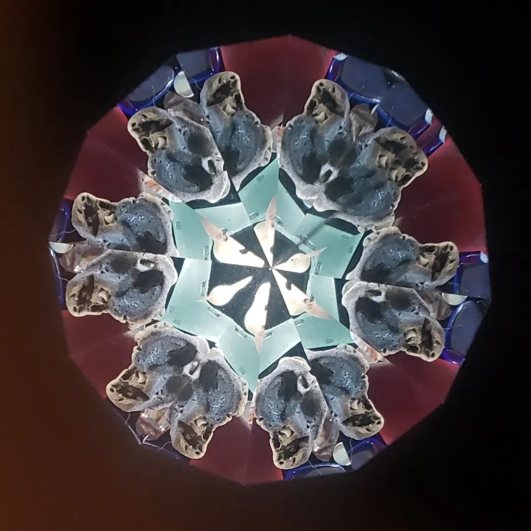 Inside a Kaleidoscope